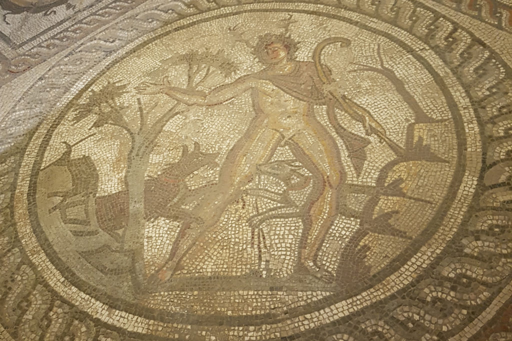 Mosaic floor depicting Acteon, on display at Corinium Museum.