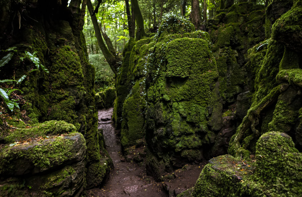 Moss covered rocks under a dark blanket of woodland make the scowles a highly atmospheric site to visit in your tour of Roman sites in Gloucestershire.